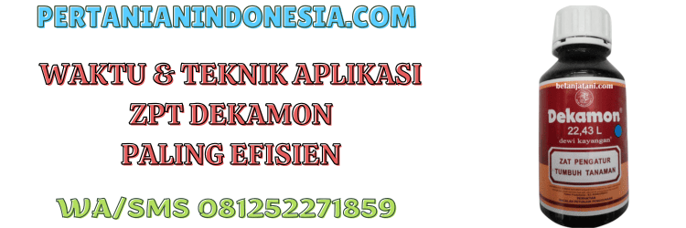 waktu,teknik,aplikasi,zpt dekamon,pertanian indonesia